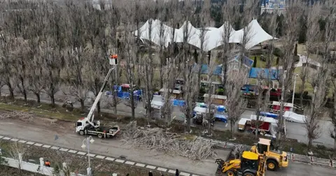 Eskişehir Büyükşehir'den ağaçlara gençleştirme çalışması