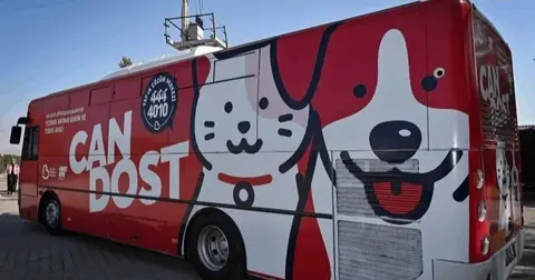 Can Dost, patili canlara şifa dağıtmak için yollarda