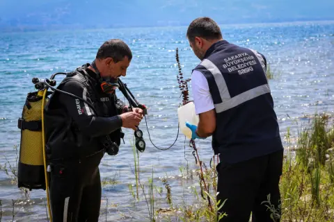 Sapanca'daki alg oluşumu mevsimsel