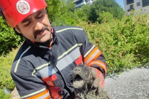 Betonda Mahsur Kalan Köpek İtfaiye Kurtardı