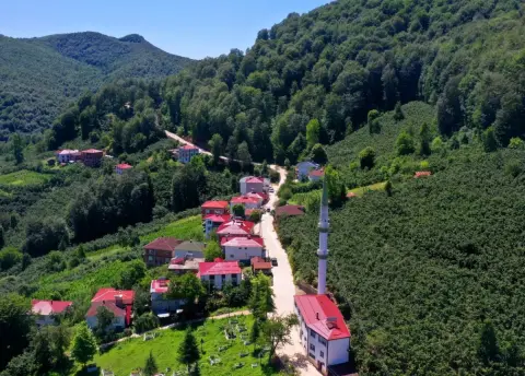 Ordu’da 3 km Beton Yol: Aybastı Bağlandı