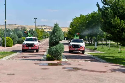 Ankara'da 3 ilçede kapsamlı ilaçlama seferberliği
