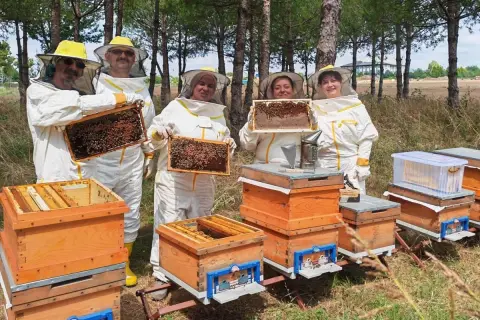 Bilinçli üretimle Kocaeli balı Türkiye geneline yayıldı