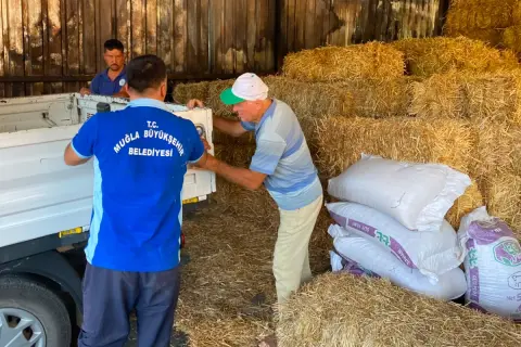 Muğla Büyükşehir'den yangın mağduru üreticiye yem desteği