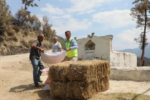 Seydikemer'de yangın yaraları sarılıyor: Belediye tam destek