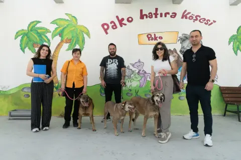 İzmir'de sahipsiz köpekler 'iş başında' projesiyle yuvaya kavuştu