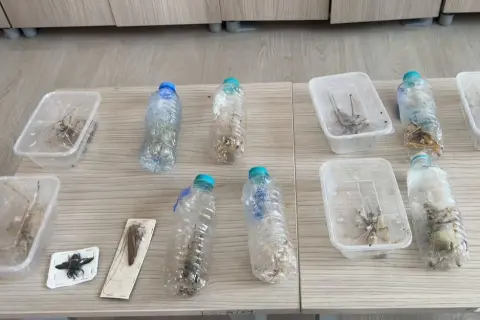 Nemrut'a biyokaçakçı girdi: 1,4 milyon TL ceza
