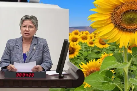 Ayçiçeği maliyeti 35 lira, üretici 40-42 lira bekliyor