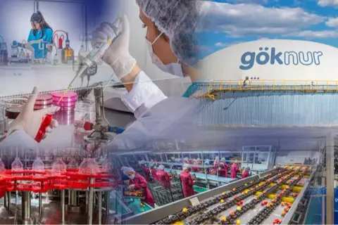 Göknur'a atanan kayyım aynı gün kaldırıldı
