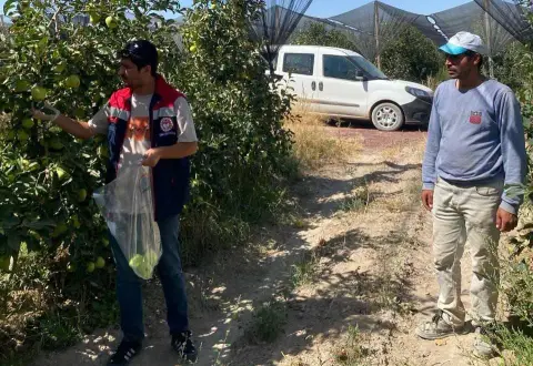 Konya Tarım İl Müdürlüğü ekipleri güvenli gıda için sahada