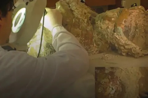Toprağın Altından Vitrine: Bir Eserin Yolculuğu