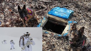 Mehmetçik teröristlere göz açtırmadı