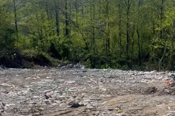 Rize’de vahşi depolamaya milyonluk ceza! Çevre'den suç duyurusu