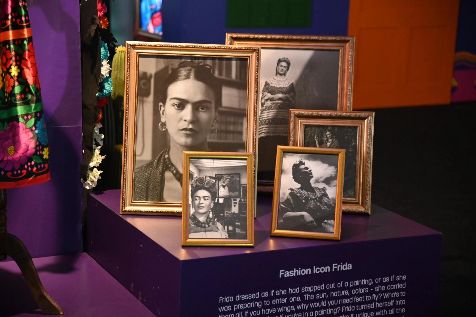 Manisa’da "Frida" rekoru