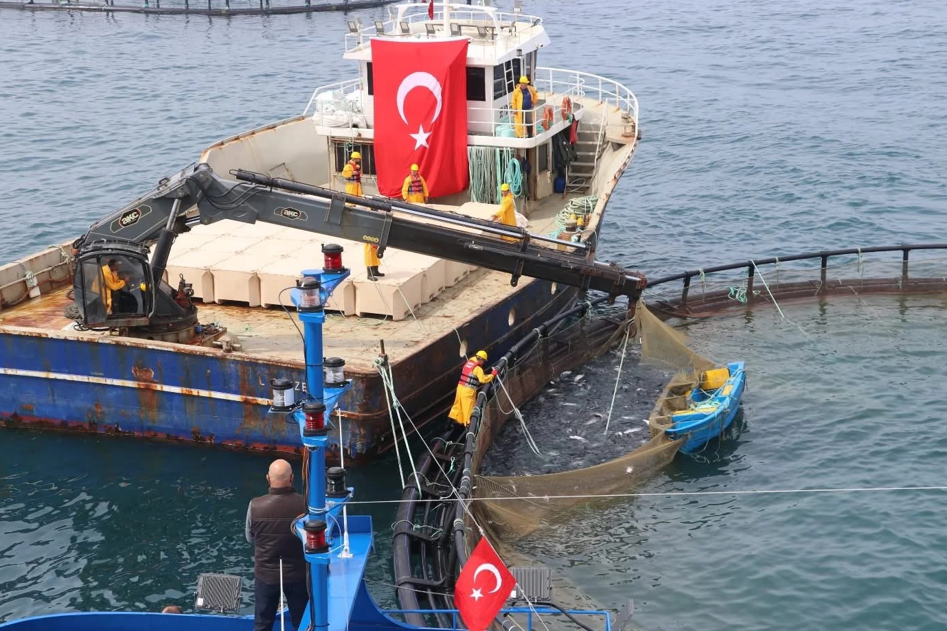 Türk somonu ihracatta rekor yolunda... Üretim 75 bin tona ulaştı