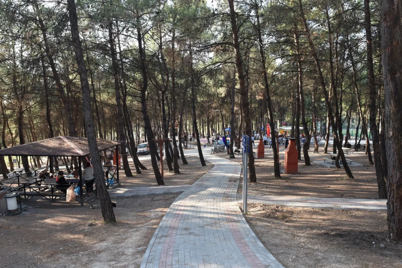 Bursa'da ormanlara giriş yasağı 15 Ekim'e kadar sürecek