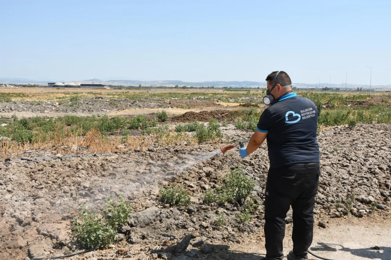 Balıkesir'de ilaçlama ekipleri 7/24 sahada