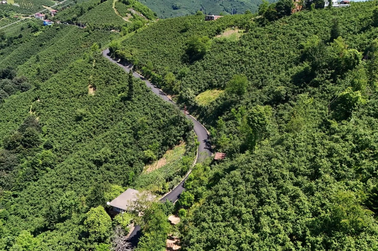 Ordu'da 3,5 kilometrelik asfalt tamamlandı