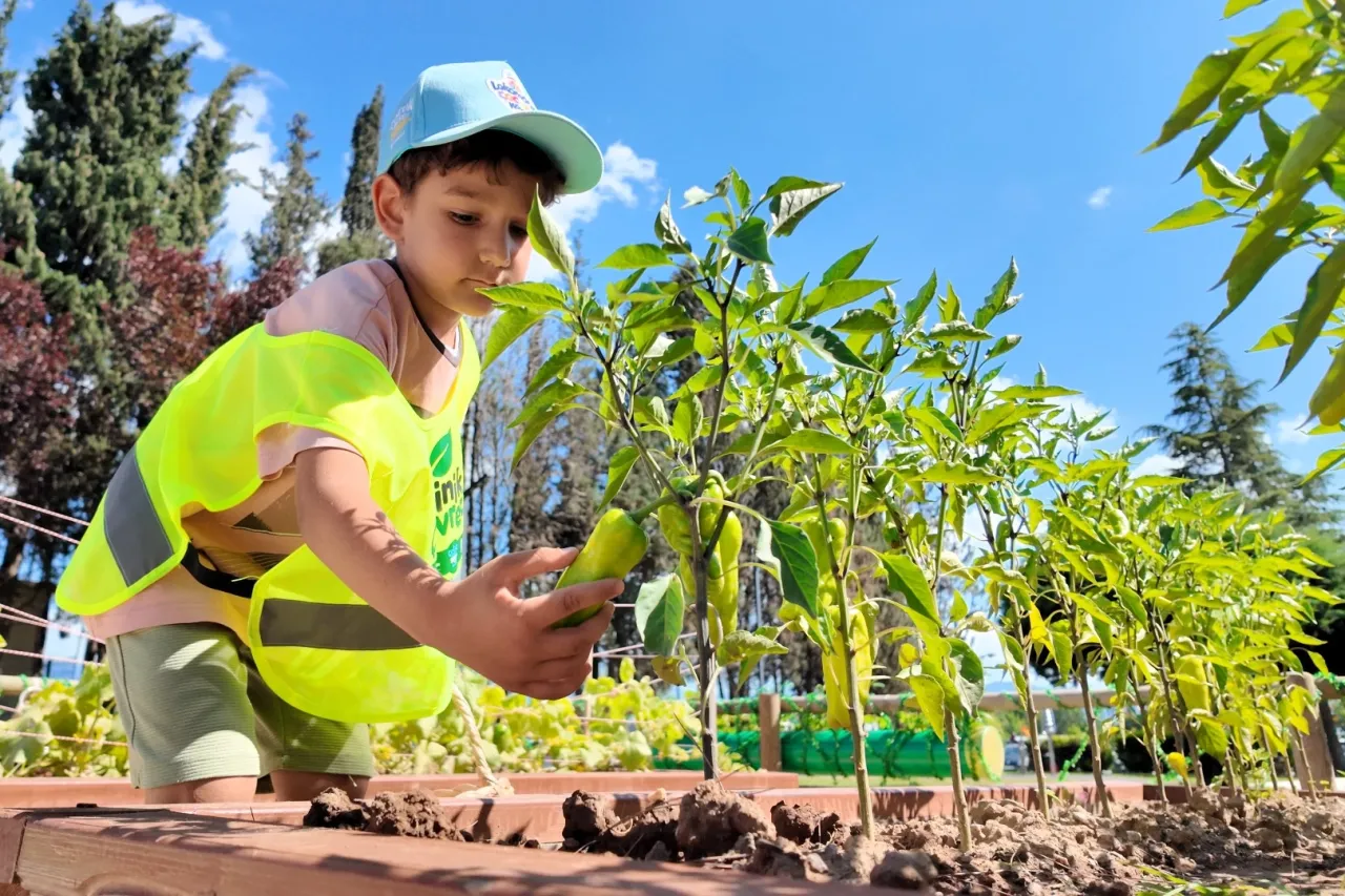 Lokomotif Çocuk Köyü Lotus’ta ilk hasat sevinci