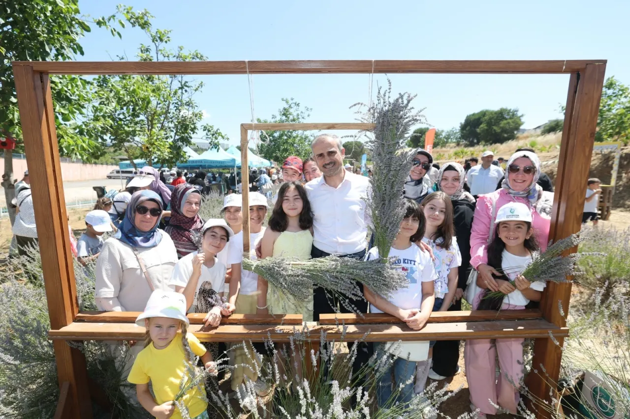 Çayırova’da lavanta hasadı
