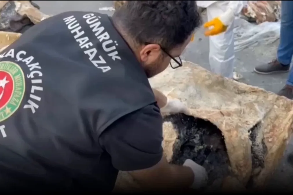 Hamzabeyli'nde yaban hayvanı kaçakçılığına darbe! 2 vaşak ve 2 serval kurtarıldı