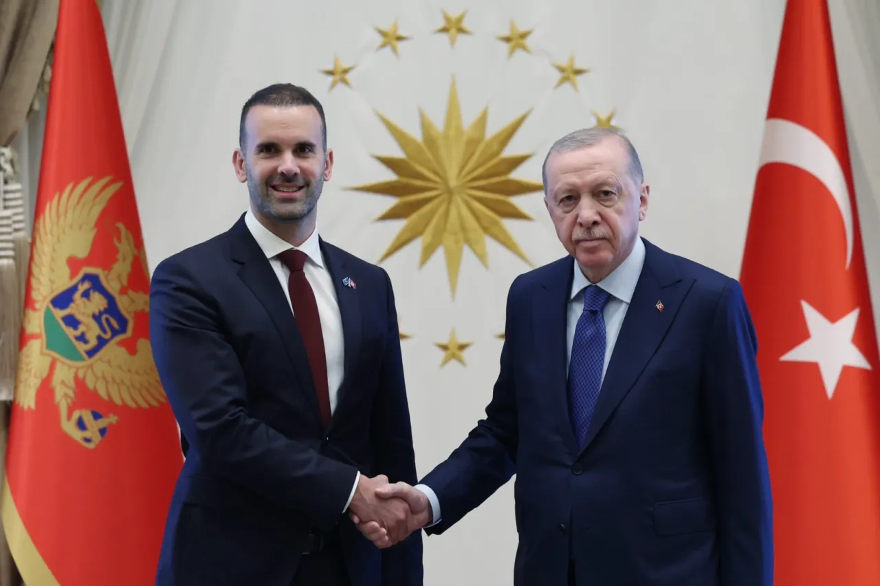 Erdoğan, Karadağ Başbakanı Spajiç’i kabul etti... Türkiye-Karadağ ilişkileri ele alındı