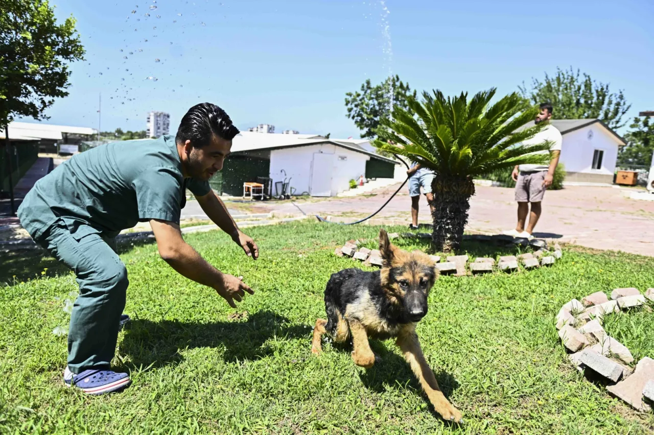 Antalya Muratpaşa’dan patili dostlara serin dokunuş