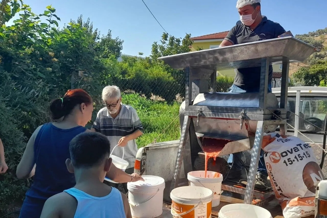İzmir Efes Selçuk'ta kışlık domates hazırlığı