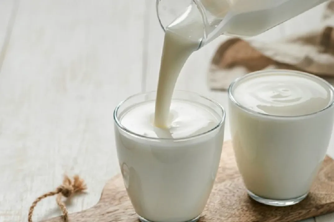 Ticari toplanan süt geriledi... Ayran ve kefir üretimi arttı