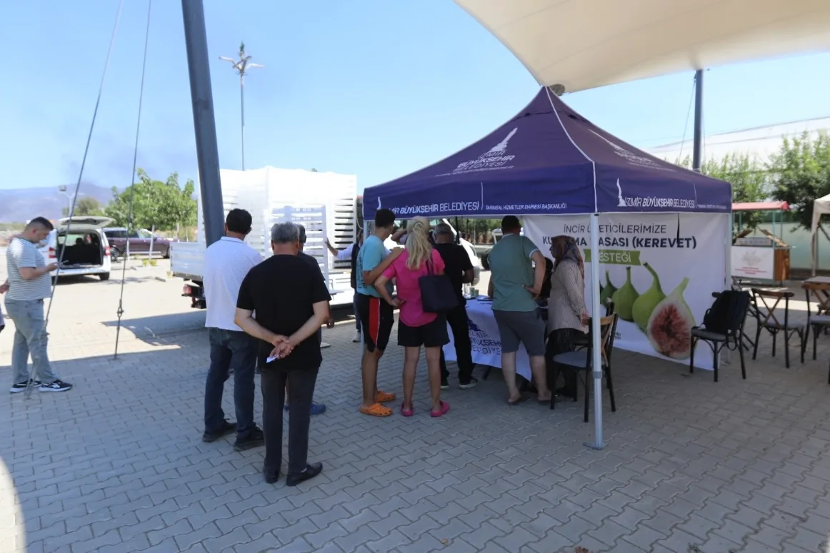 İzmir BŞB'den incir üreticilerine kerevet desteği