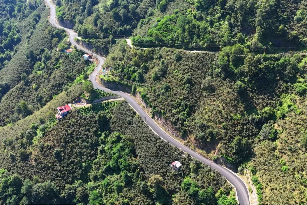 Ordu'da rüya olan yol hizmete girdi