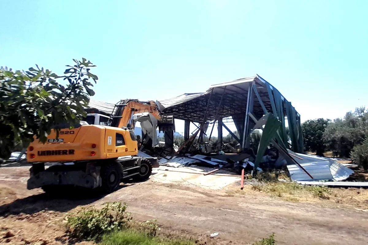 Osmangazi'de zeytinlikteki kaçak depo yıkıldı