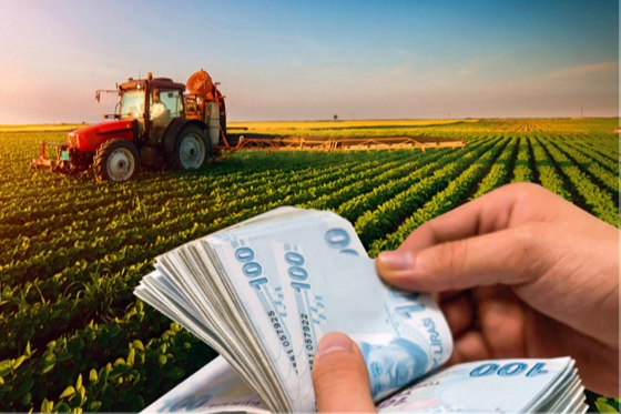 Çiftçilere 67 milyon TL'lik tarımsal destek hesaplarda