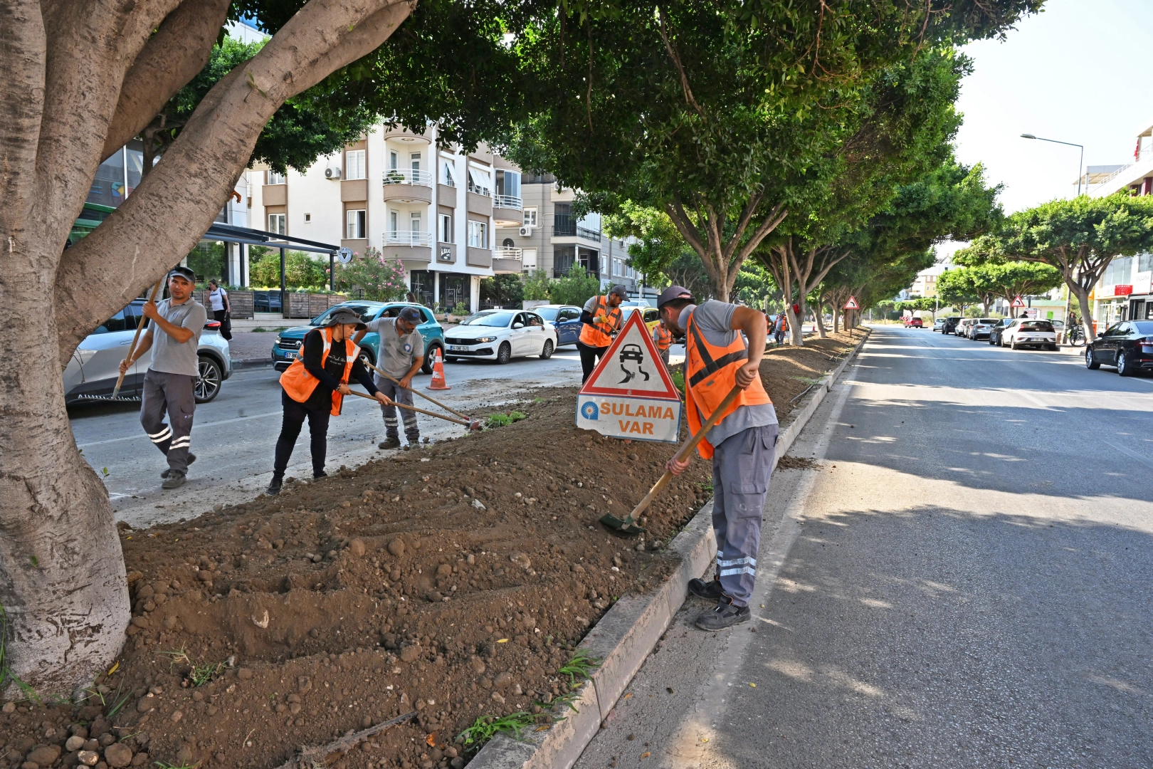 Antalya'da kurakçıl peyzajla yeşil dokunuş