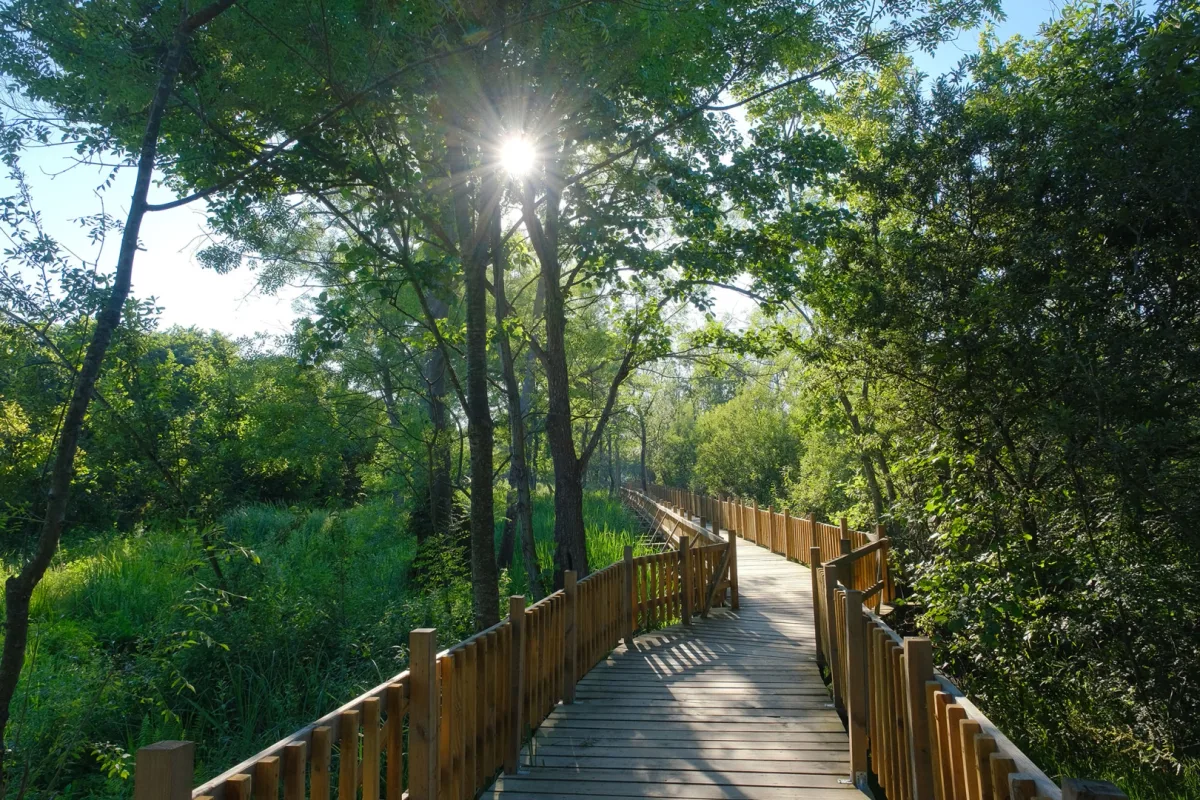 Sakarya'da yaz sezonunda 550 bin doğa ziyaretçisi