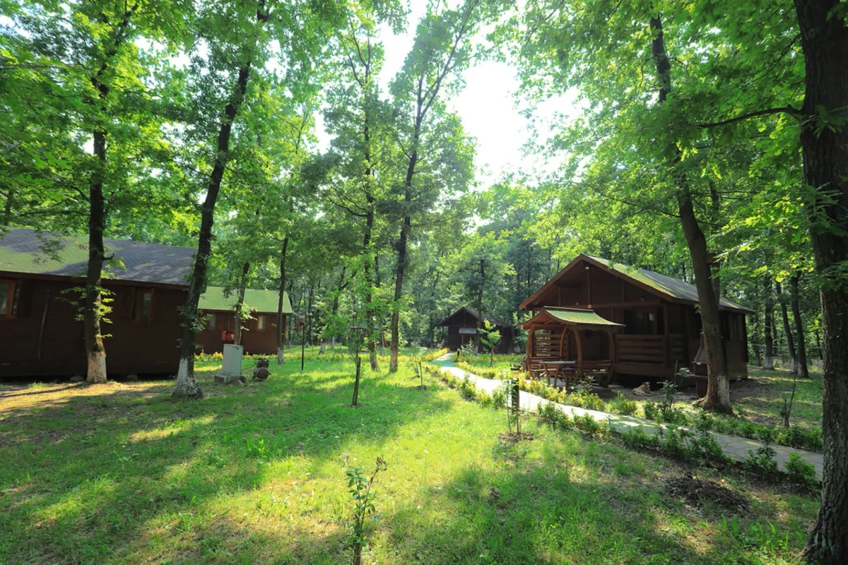 Sakarya İl Ormanı Bungalov Evleri, misafirlerini bekliyor