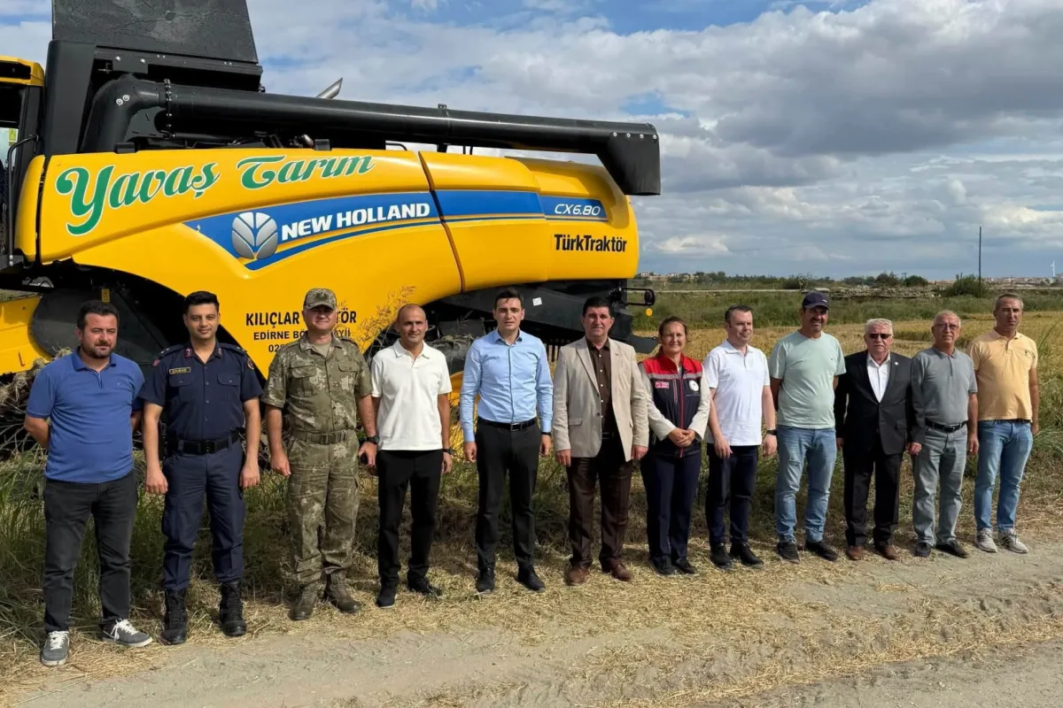 İpsala'da çeltik hasadı başladı, üreticiler heyecanlı