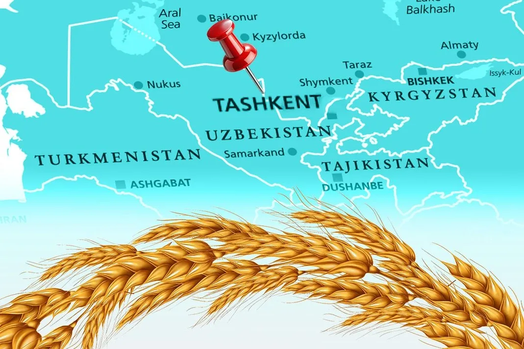 Türkiye, Un İhracatında 12. Şampiyonluk Hedefini Koydu