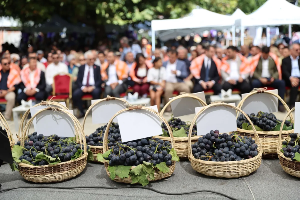 Karabağlar’da 14. Kavacık Üzüm Festivali coşkuyla başladı